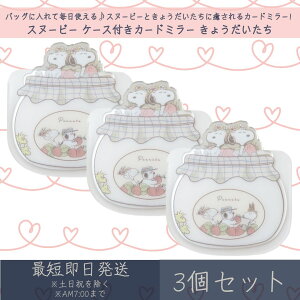 Xk[s[ P[XtJ[h~[ 傤 3Zbg | eB[Yt@Ng[ SNOOPY PEANUTS s[ibc 苾 RpNg~[ Mtg v[g LN^[ObY 킢 C