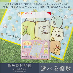 ݂R炵 W[V[g STCY 60×90cm 1lp  ATqm W[ AEghA  sNjbN Lv Ԍ ^ C LN^[ ݂炵 ٓ ` qǂ q