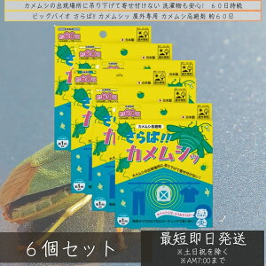 rbOoCIOp JV 60 ×6Zbg  񂹕tȂ JV΍ JV ݂艺    悯 x_     ގ