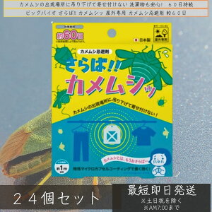 rbOoCIOp JV 60 ×24Zbg  񂹕tȂ JV΍ JV ݂艺    悯 x_     ގ