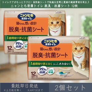 jƂ gC ELERۃV[g 12 2Zbg | GXe[ L ˂ lR gC LpgCV[g VXegC gCV[g L R ybgpi ybgV[c Lpi j