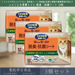 jƂ gC ELERۃV[g 12 3Zbg | GXe[ L ˂ lR gC LpgCV[g VXegC gCV[g L R ybgpi ybgV[c Lpi j