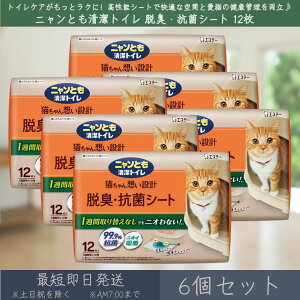 jƂ gC ELERۃV[g 12 6Zbg | GXe[ L ˂ lR gC LpgCV[g VXegC gCV[g L R ybgpi ybgV[c Lpi j