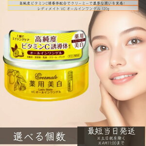 アロインス レディメイト VC オールインワンゲル 120g │ 美容液 化粧水 エバーメイト ロカイレイ ろかいれい 蘆薈麗 VCオールインワンゲル 濃厚ゲル 乳液 クリーム スキンケア 首