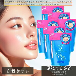 t@CgDfC  IC NWO CNƂ l 180ml ×6Zbg  EH[^[v[t ь 邨 qA_ VN XLPA  I[NAIC