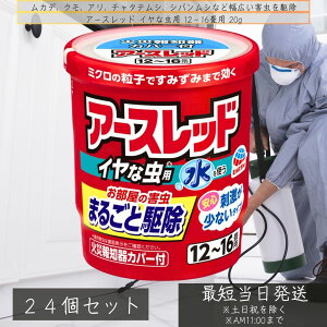 A[X@A[Xbh CȒp 12`16p 20g ×24Zbg  nGƂ Jf N `^eV VoV JcIuVV K n` `EoG LNCV 쏜