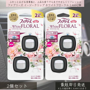 P&G yt@u[Yz C[W[Nbv zCgt[ 2.4ml×2 2Zbg | febreze LF ԗp J[pi ԓL F Nbv ȒPt tOX K L GA