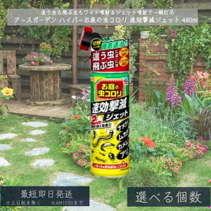 yA[XK[fznCp[̒R ŃWFbg 480ml  R nCp[  WFbg Xv[  Ԓ iNW Jf JV A  쏜yA[Xz