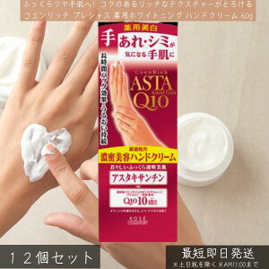 R[Z[RX|[g RGb` vVX pzCgjO nhN| 60G 򕔊Oi ×12Zbg  ێ nhN[ GCWOPA  RGb` Ђъ {