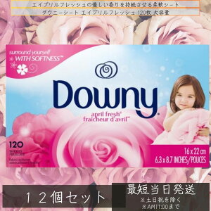_Ej[ V[g GCvtbV 120 12Zbg e Downy lC F tbV ÓdC  