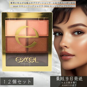 excel GNZ XLj[b`VhE SR06 ZVAuE 4.3g ×12ZbgACVhE 4Fpbg Of[VACVhE iACCN o[KfB