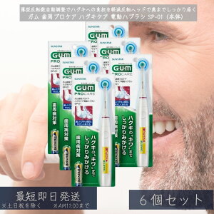 K vPA nOLPA dnuV SP-01 ×6Zbg  炩 ւuVΉ ^wbh C PA oPA f^PA v[N TX^[ Ki