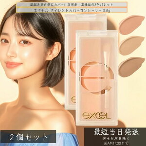 excel GNZ TCgJo[RV[[ 3.5g ×2Zbg t@f[V ωn RV[[ 3F pbg N}B  ێ Ȃ PA CGx