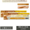 excel エクセル パウダー＆ペンシル アイブロウ EX PD11 アプリコットブラウン ×2個セット │ペンシルアイブロウ 自然な眉毛 仕上がり 描きやすい アイブロウ ふんわり眉メイク 眉メイク