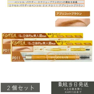 excel GNZ pE_[yV ACuE EX PD11 AvRbguE ×2Zbg yVACuE RȔ dオ `₷ ACuE ӂCN CN