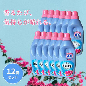 LVR_Ej[ TCYtbV 900ml 12Zbg Zk^Cv _ _Ej[ downy e {   {g h[ t̏_܁@xgi_Ej[ AWA_Ej[