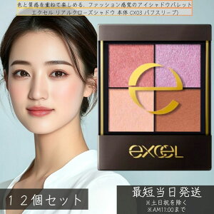 excel GNZ AN[YVhE { CX03(ptX[u) ×12Zbg CNAbv pE_[ACVhE ACCN ACVhE 4F ACVhE lC pbg