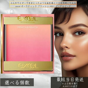 excel �G�N�Z�� �I�[���e�B�b�N �u���b�V�� AB01 �s�[�`���s�[�` ���O���f�[�V�����`�[�N �����F �`�[�N �p�E�_�[ �O���f�[�V���� �����F ������ ���e�t �c�� �c���� ���{�� �y�M�t�g�Ή��z �y