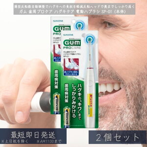 K vPA nOLPA dnuV SP-01 ×2Zbg  炩 ւuVΉ ^wbh C PA oPA f^PA v[N TX^[ Ki