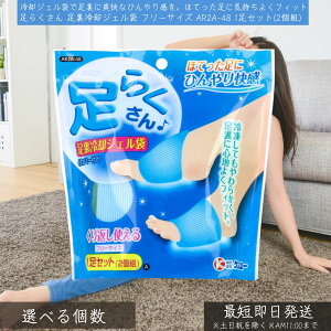 P[ 炭 pWF t[TCY AR2A-48 1Zbgi2gj  p tbgPA ⊴ObY MǑ΍ ނ݉ J tbV s pObY WFpb