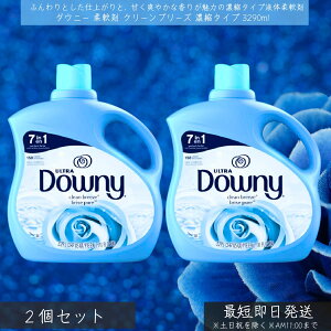 ダウニー リキッド クリンブリーズ 111oz 3290ml 2個セット 液体柔軟剤 濃縮タイプ ダウニー downy 大容量 本体 特大 洗濯 ボトル ランドリー 液体