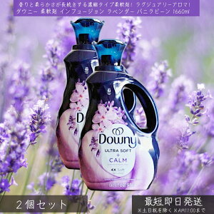 _Ej[ _ Ct[W x_[ ojr[ 1660ml ×2Zbg  Zk^Cv Downy Infusions p ߗޗp t[ COA P&G ߗޗp\ti[