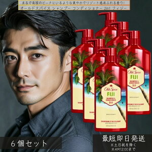 I[hXpCX Vv[ RfBVi[ 2in1 tBW[ 650ml ×6Zbg  Old Spice FIJI Yp wAPA RRibc̍ gsJ  ێ čP&G