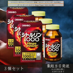 Iq Vg Mega Power 1000 ×3Zbg  Tvg AMjz  Z r^~B1 B6 jT|[g ̗ Nێ p[Tv 1000mg