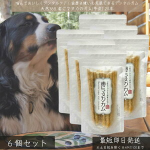 VR365 Ƀ}kJ̃K  20{ ×6Zbg  { pf^K YYgp j[W[hY}kJnj[z C  PA  ނ