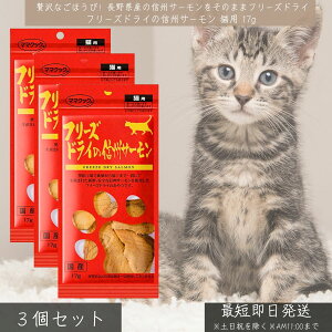 t[YhC MBT[ Lp 17g ×3Zbg  Y Y 쌧Y hg XCX gbsO  Lbgt[h gbsOt[h t[YhC ^pN MBY h{
