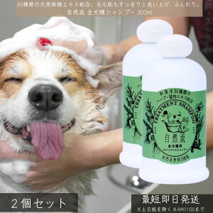 R Vv[ Sp 300ml ×2Zbg  Lp Y VR n[uz ӂdグ ێ { S ybgVv[ tP PA ю 炳