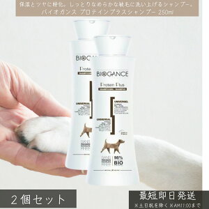 oCIKX veCvX Vv[ 250ml ×2Zbg   Lp ێ 唞veCz I[KjbN Y ybgVv[ ӂ tX h~ pxt[