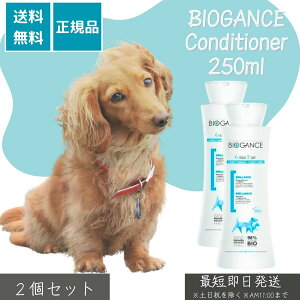 oCIKX OXwA[RfBVi[ 250ml ×2Zbg   L ybgp RfBVi[ VAo^[ zzoIC щ ێ g[gg Y pxt[ qΉ