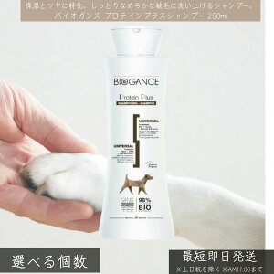 oCIKX veCvX Vv[ 250ml   Lp ێ 唞veCz I[KjbN Y ybgVv[ ӂ tX h~ pxt[ q F