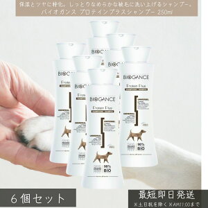 oCIKX veCvX Vv[ 250ml ×6Zbg   Lp ێ 唞veCz I[KjbN Y ybgVv[ ӂ tX h~ pxt[