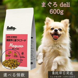 ܂f 600g  p hbOt[h Y Y  DHA EPA _ FK-23 GI mIC btďC h{H Nێ VjAΉ