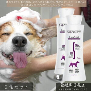 oCIKX OR[gVv[ 250ml ×2Zbg   L ybgp VR I[KjbN zzoIC }cCOTGLX _ h pxt[ tX