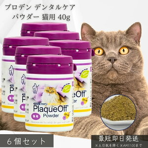vf f^PA pE_[ Lp 40g ×6Zbg VOHCF bt Y VRC L C  y t[hɂ邾 ȒP I[PA VjAL 