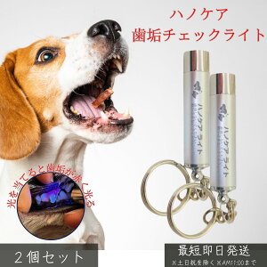 nmPA `FbNCg ×2Zbg   L ybgp f^PA C`FbN c h~ L a ΍ PApi LEDCg  y RpNg ybgpi