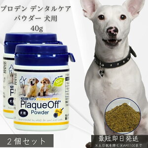 vf f^PApE_[ p 40g ×2Zbg  VOHCF bt  C LPA VRC Y OCt[ f^pE_[ Tv  f^Tv