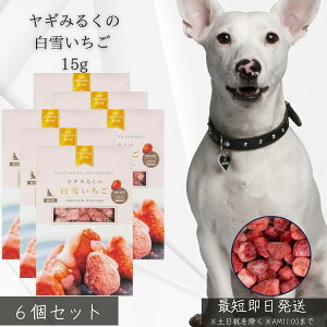 M݂邭̔Ⴂ 15g ×6Zbg  p t[YhC  M~N Y F v~A XC[c gbsO ^ VjA J [OgAW N