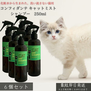 RtB_e Lbg~XgVv[  250ml ×6Zbg  Lp @Vv[ sv ϐd r߂ĂS { VRR100 Y ێ PA