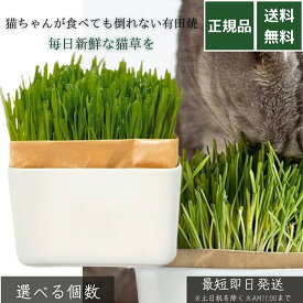 猫草栽培キット にゃんベジ セットN 有田焼 鉢付き │ リフィル2パック付属 猫用 毛玉ケア 消化促進 室内栽培 土不使用 簡単栽培 インテリア向け 倒れにくい おしゃれな猫草キット 【ギフト対応】 【ソーシャルギフト対応】 プレゼント