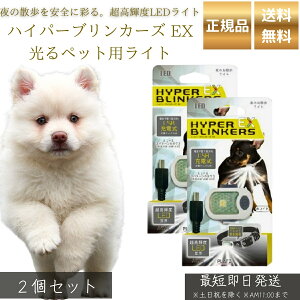 nCp[uJ[Y EX ybgpCg p zCg ×2Zbg  LEDCg  Up SCg h y ^