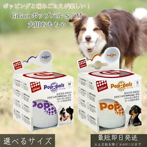 GiGwi |bvp S M  p  ^ ^ v ې􂢉\ VRS f^PA  XgXU ^s ނ C^NeBu