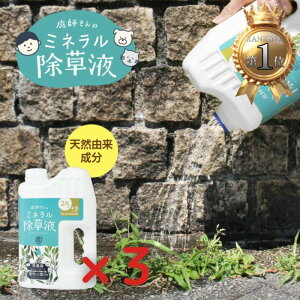 t̃~lt 3Zbg G Q@_ D ₳ ͂炷 VRR VR |  t t { S S