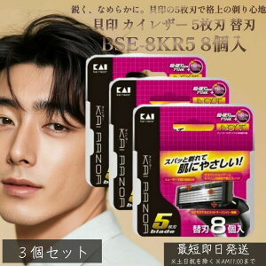 貝印 カイレザー 5枚刃 替刃 BSE-8KR5 8個入 3個セット | KAI RAZOR 剃刀 カミソリ ひげそり 髭剃り シェービング メンズシェイバー 替え刃セット シェーバー メンズ