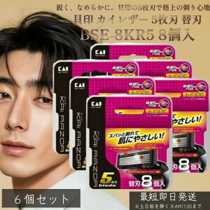 貝印 カイレザー 5枚刃 替刃 BSE-8KR5 8個入 6個セット | KAI RAZOR 剃刀 カミソリ ひげそり 髭剃り シェービング メンズシェイバー 替え刃セット シェーバー メンズ