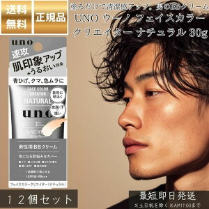 UNO E[m tFCXJ[NGC^[ i` 30g ×12Zbg Y BBN[ SPF30 PA+++ jp ϕi F␳ ЂEN}EFJo[ mIC[