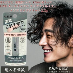 UNO I[C bvNGC^[ 2.2g  Y bvN[  E[m jp OPA ێ 邨 c ݕ␳ i` F I[C ΍ e